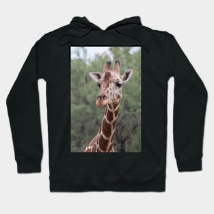 Gentle Giant Hoodie